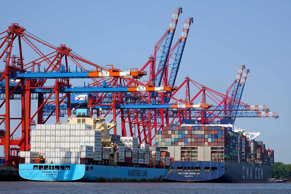 Supply Chain